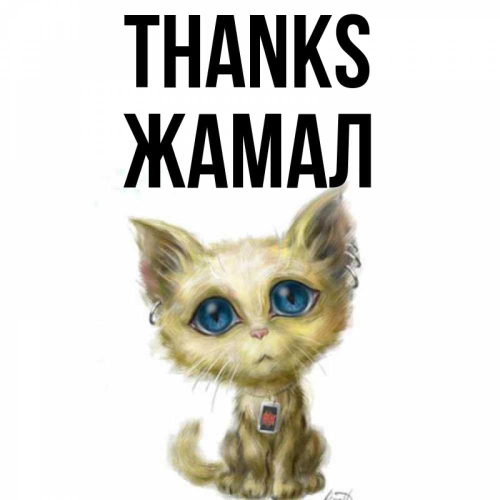 Greetings card с именем, ЖАМАЛ Thanks рисованный кот благодарит вас Greetings with text for free download 