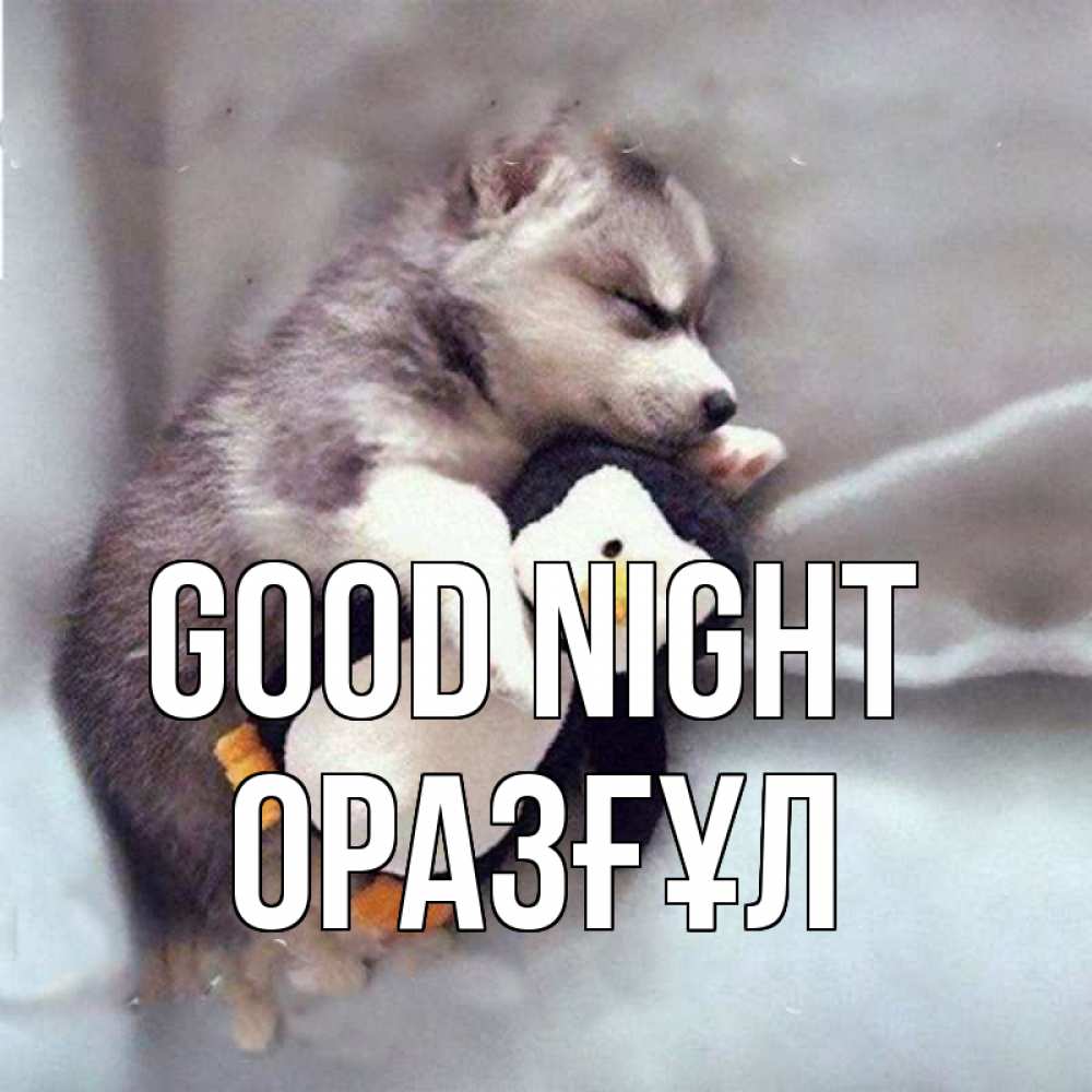 Greetings card с именем, ОРАЗҒҰЛ Good night обнимашки щенка и пингвина Greetings with text for free download 