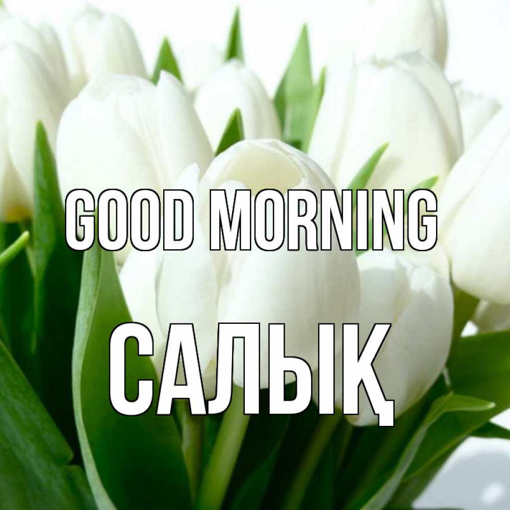 Greetings card с именем, САЛЫҚ Good morning открытки на каждый день по именам Greetings with text for free download 