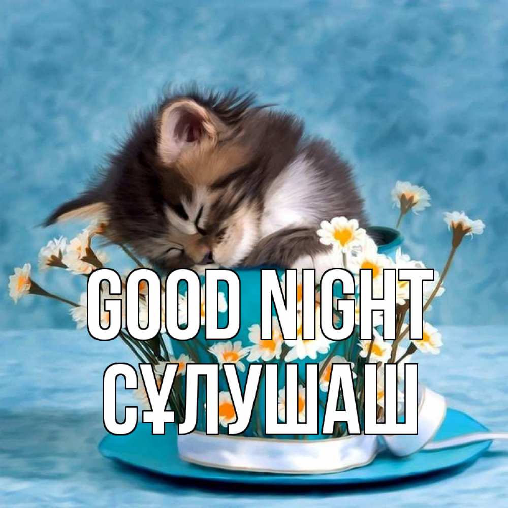 Greetings card с именем, СҰЛУШАШ Good night котенок спит в кружке с блюдцем Greetings with text for free download 