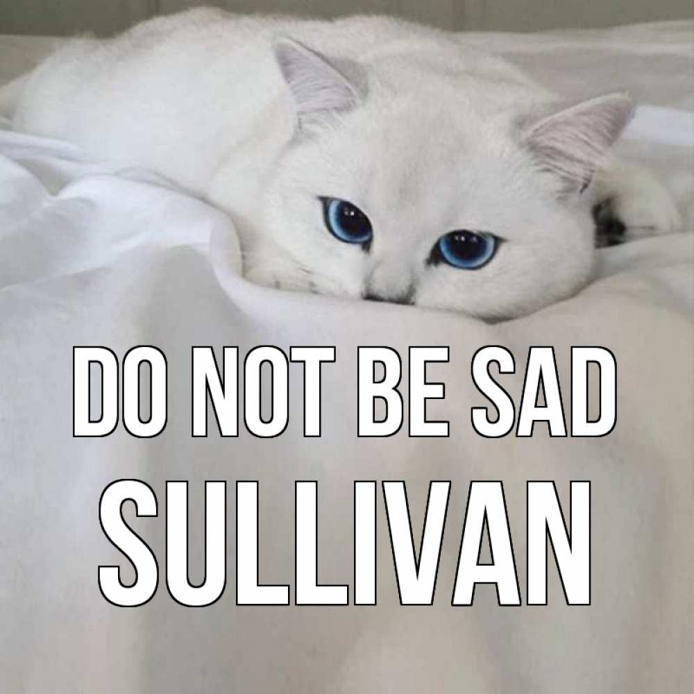 Greetings card с именем, Sullivan Do not be sad белый кот с голубыми глазами на белоснежной кровати Greetings with text for free download 