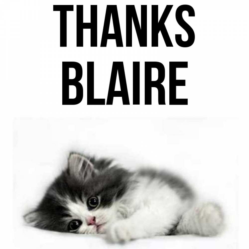 Greetings card с именем, Blaire Thanks черный и белый кот Greetings with text for free download 