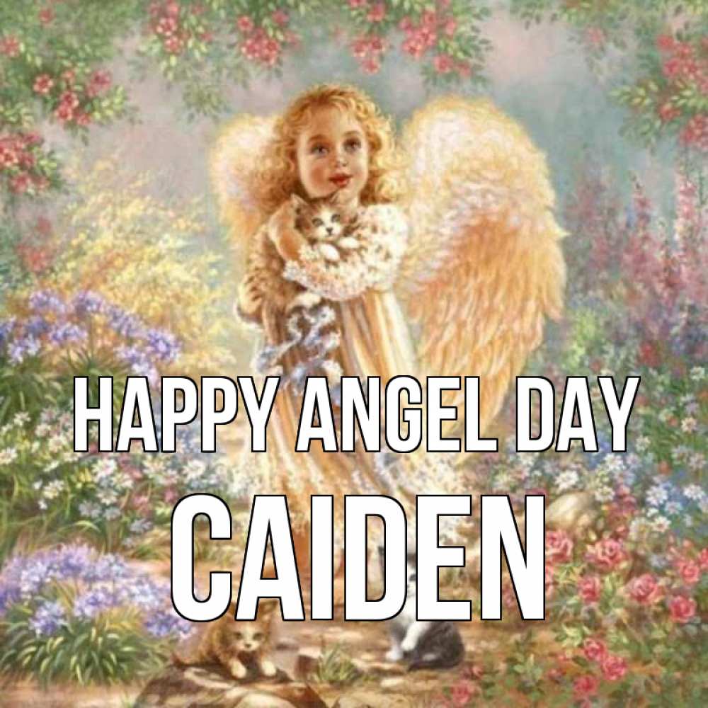 Greetings card с именем, Caiden happy angel day держит котенка Greetings with text for free download 