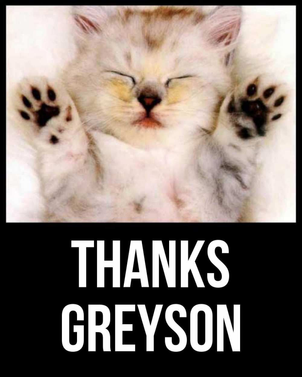 Greetings card с именем, Greyson Thanks маленький котенок Greetings with text for free download 