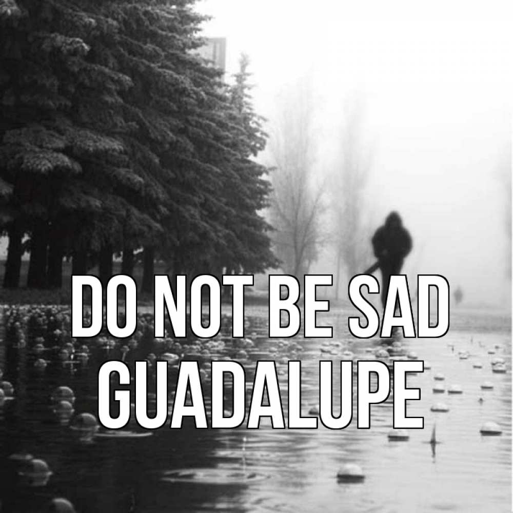Greetings card с именем, Guadalupe Do not be sad улица под дождем Greetings with text for free download 