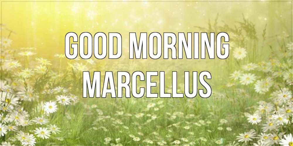 Greetings card с именем, Marcellus Good morning доброе утро Greetings with text for free download 