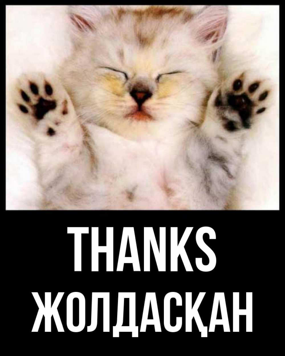 Greetings card с именем, Жолдасқан Thanks маленький котенок Greetings with text for free download 