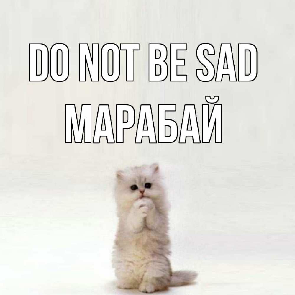 Greetings card с именем, МАРАБАЙ Do not be sad грустный кот Greetings with text for free download 