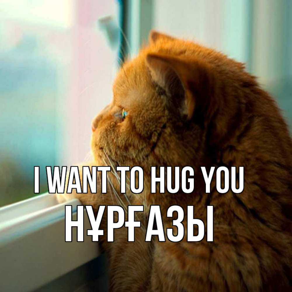 Greetings card с именем, НҰРҒАЗЫ I want to hug you большой огромный рыжий котяра Greetings with text for free download 