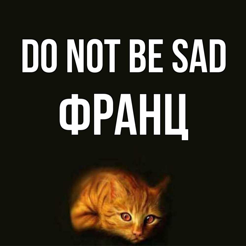 Greetings card с именем, Франц Do not be sad лежащий кот в темноте Greetings with text for free download 