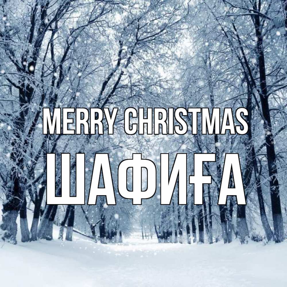Greetings card с именем, ШАФИҒА Merry Christmas снег, лес, парк Greetings with text for free download 