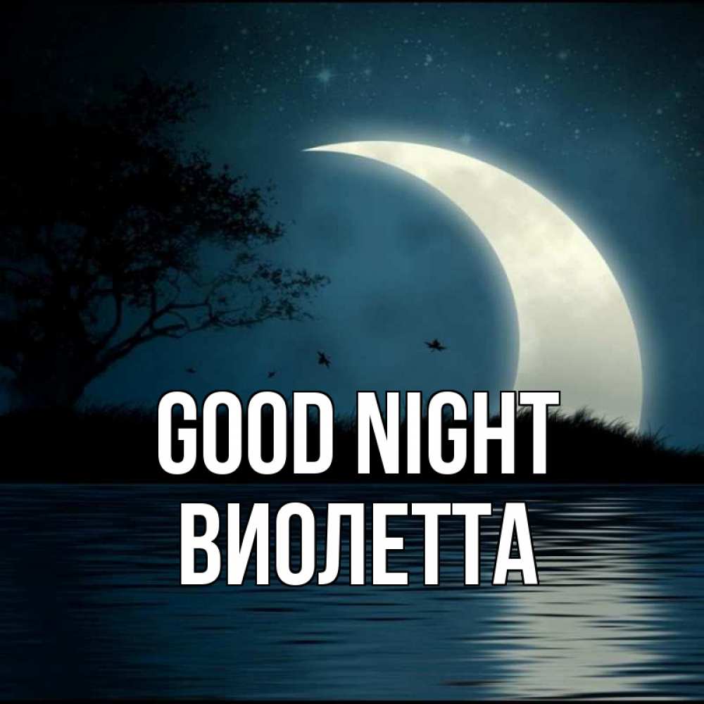 Greetings card с именем, Виолетта Good night вода Greetings with text for free download 