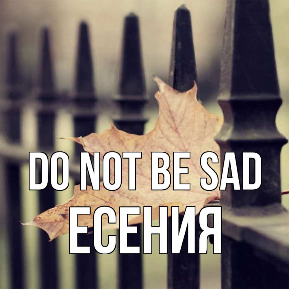 Greetings card с именем, Есения Do not be sad лист клена Greetings with text for free download 