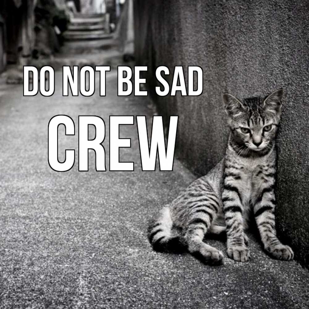 Greetings card с именем, Crew Do not be sad скучающий котик Greetings with text for free download 