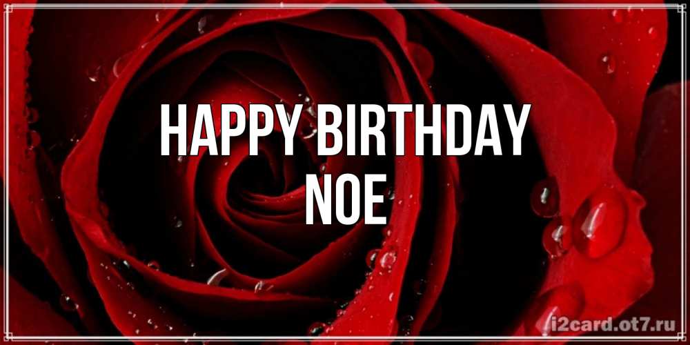 Greetings card с именем, Noe Happy Birthday крупная бордовая роза Greetings with text for free download 