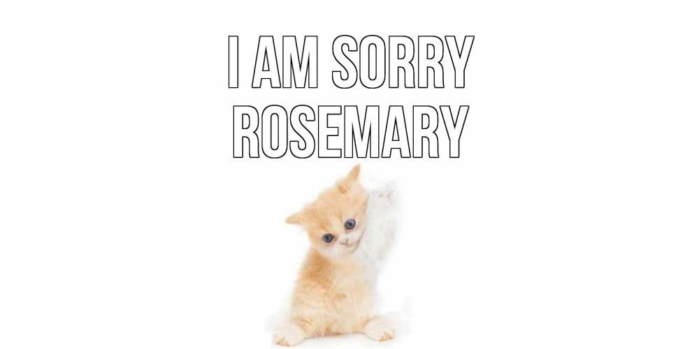 Greetings card с именем, Rosemary I am sorry кот Greetings with text for free download 