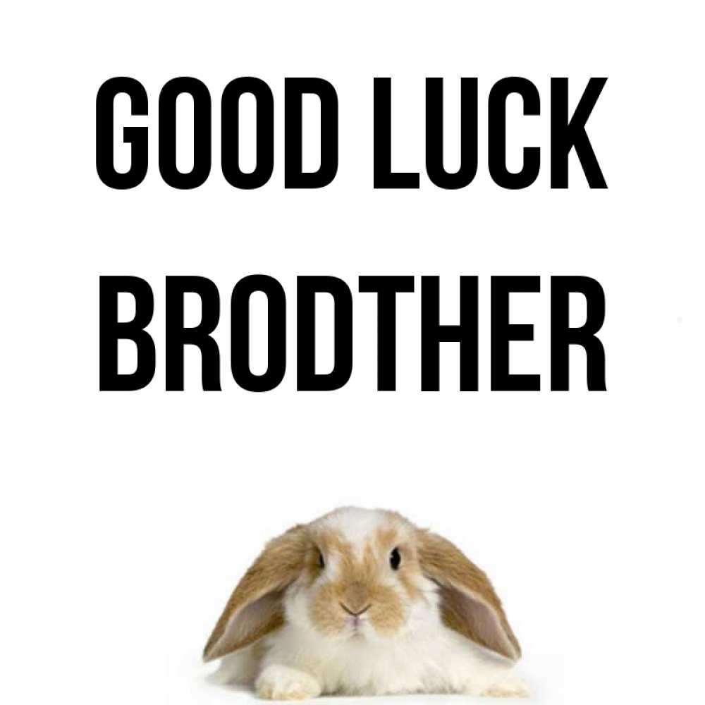 Greetings card с именем, brodther Good luck открытки с произвольным текстом который можно вставить в открытку и создать ее самостоятельно бесплатно онлайн Greetings with text for free download 