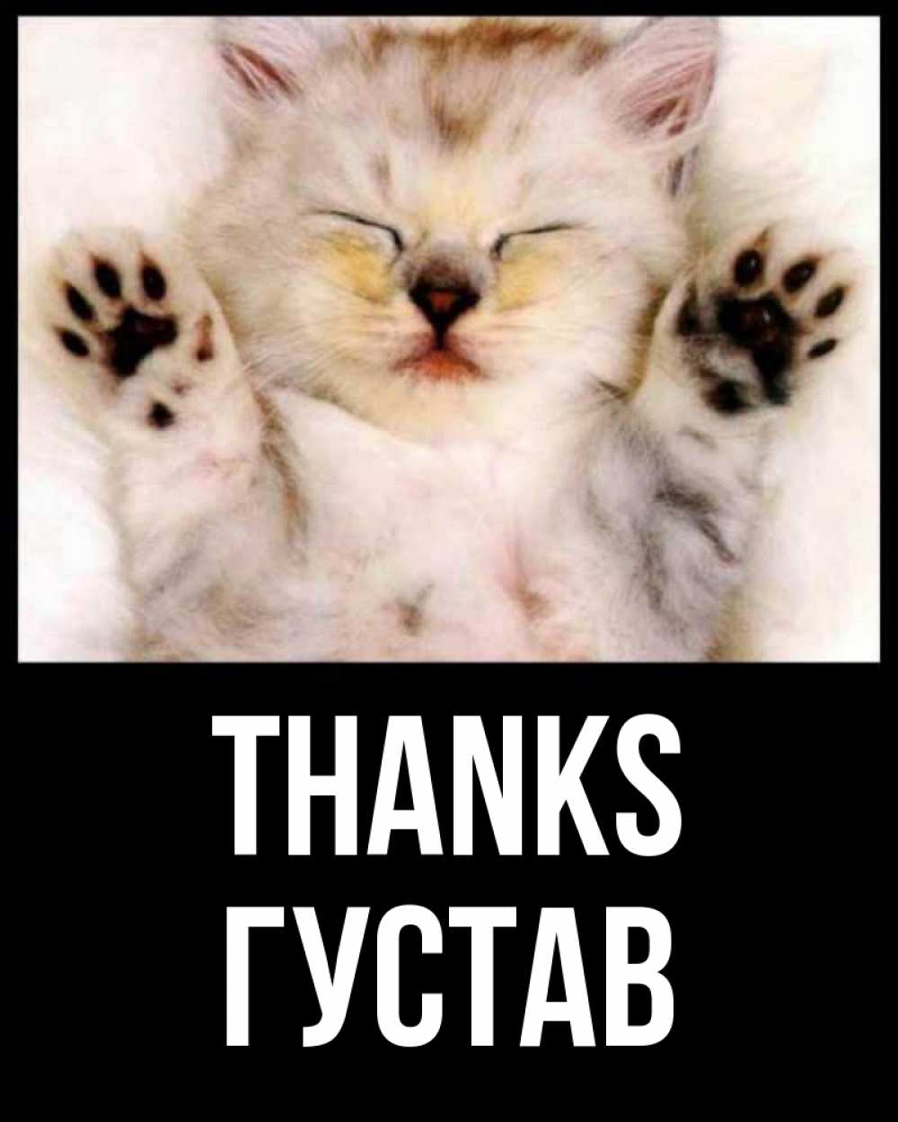Greetings card с именем, Густав Thanks маленький котенок Greetings with text for free download 