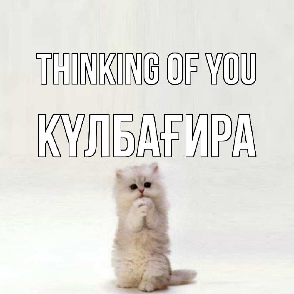 Greetings card с именем, КҮЛБАҒИРА Thinking of you кот стоит на задних лапах Greetings with text for free download 
