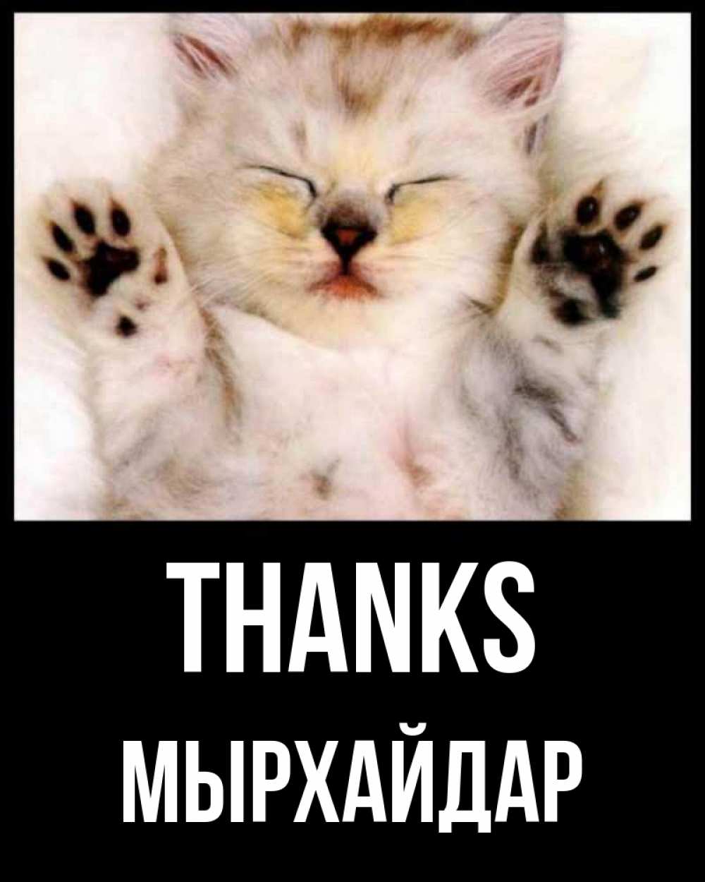 Greetings card с именем, МЫРХАЙДАР Thanks маленький котенок Greetings with text for free download 