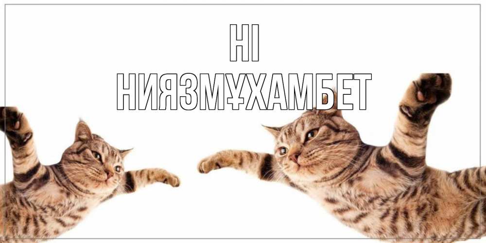 Greetings card с именем, НИЯЗМҰХАМБЕТ Hi кот Greetings with text for free download 