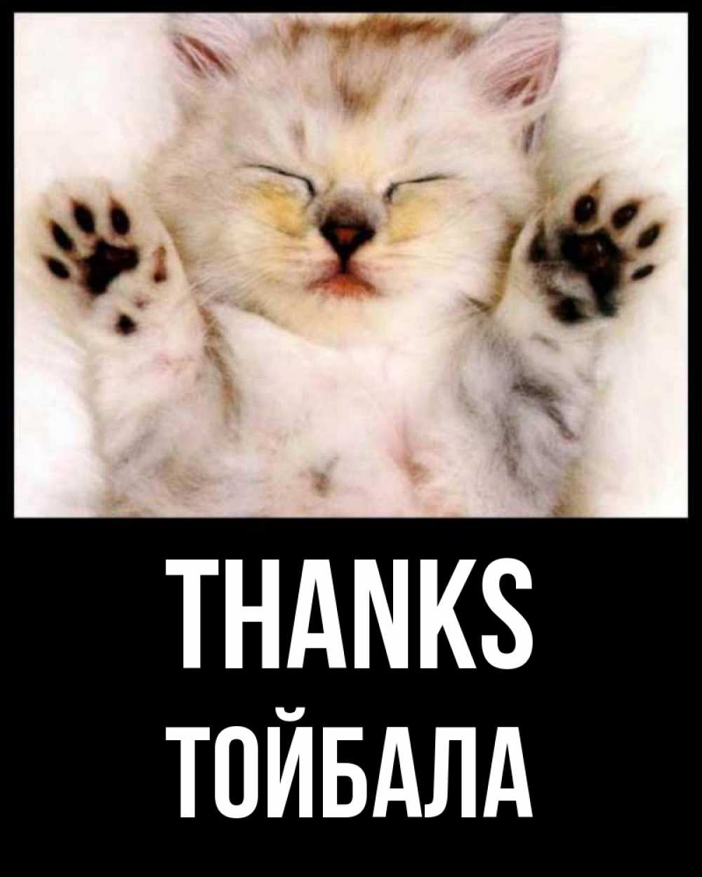 Greetings card с именем, ТОЙБАЛА Thanks маленький котенок Greetings with text for free download 