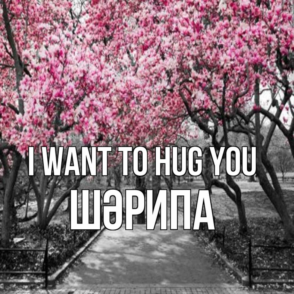 Greetings card с именем, ШӘРИПА I want to hug you обработанное фото Greetings with text for free download 