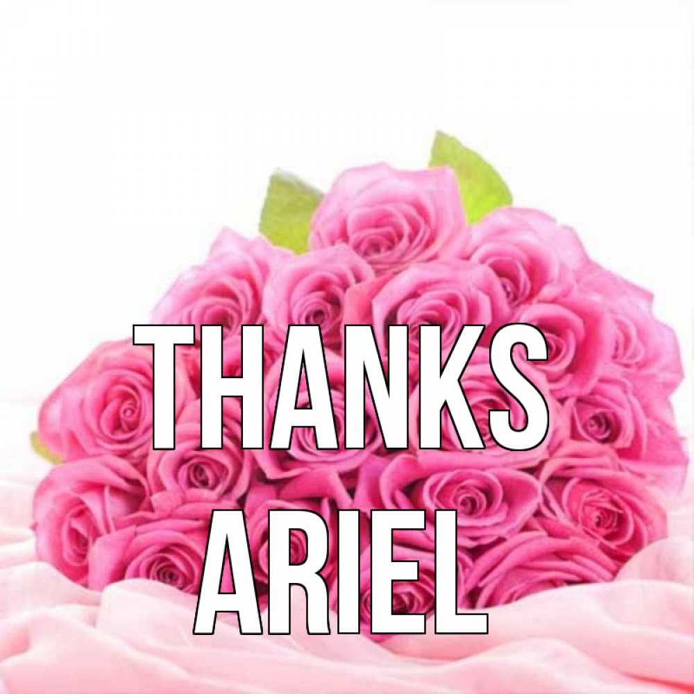 Greetings card с именем, Ariel Thanks розовые розы с подписью Greetings with text for free download 