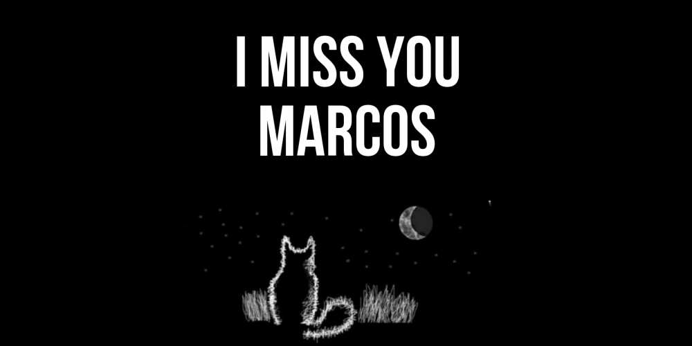 Greetings card с именем, Marcos I miss you кот Greetings with text for free download 