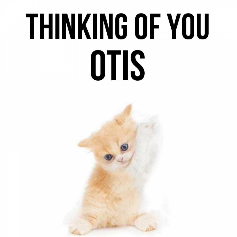 Greetings card с именем, Otis Thinking of you зверушки и милота Greetings with text for free download 