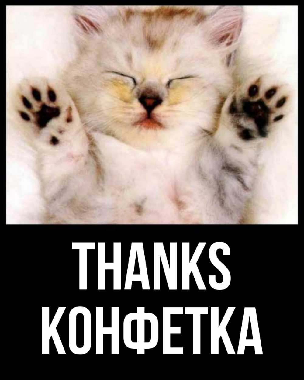 Greetings card с именем, Конфетка Thanks маленький котенок Greetings with text for free download 