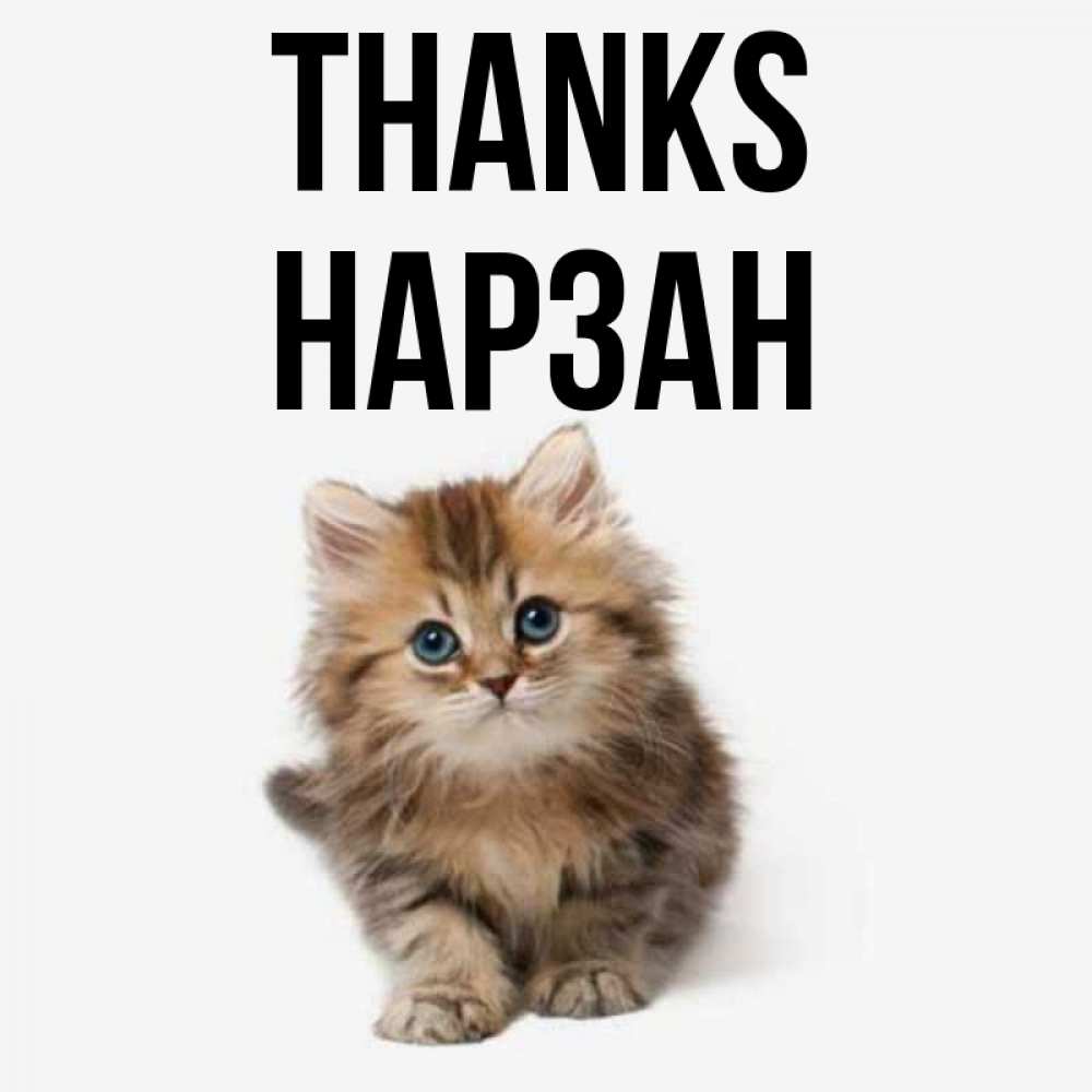 Greetings card с именем, НАРЗАН Thanks пушистый котик Greetings with text for free download 