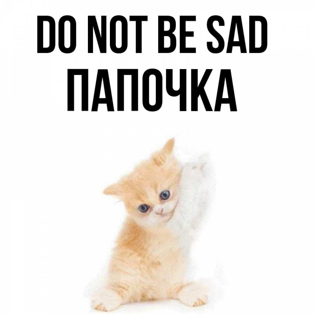 Greetings card с именем, Папочка Do not be sad просящий кот Greetings with text for free download 