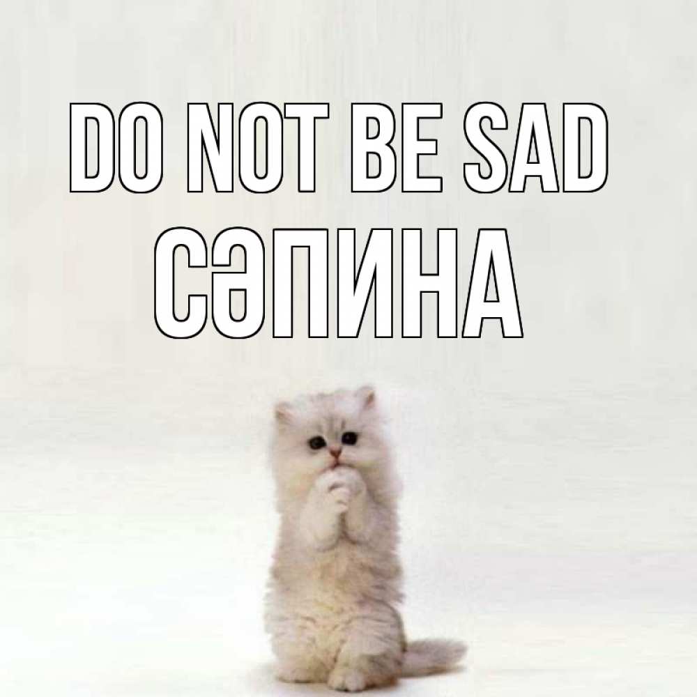 Greetings card с именем, СӘПИНА Do not be sad грустный кот Greetings with text for free download 