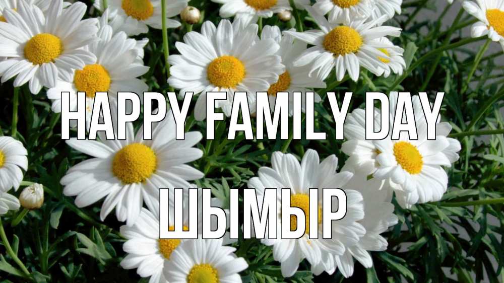 Greetings card с именем, ШЫМЫР happy family day с днем семьи Greetings with text for free download 