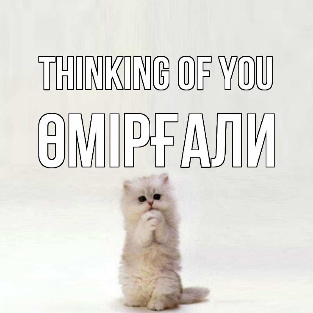 Greetings card с именем, ӨМІРҒАЛИ Thinking of you кот стоит на задних лапах Greetings with text for free download 