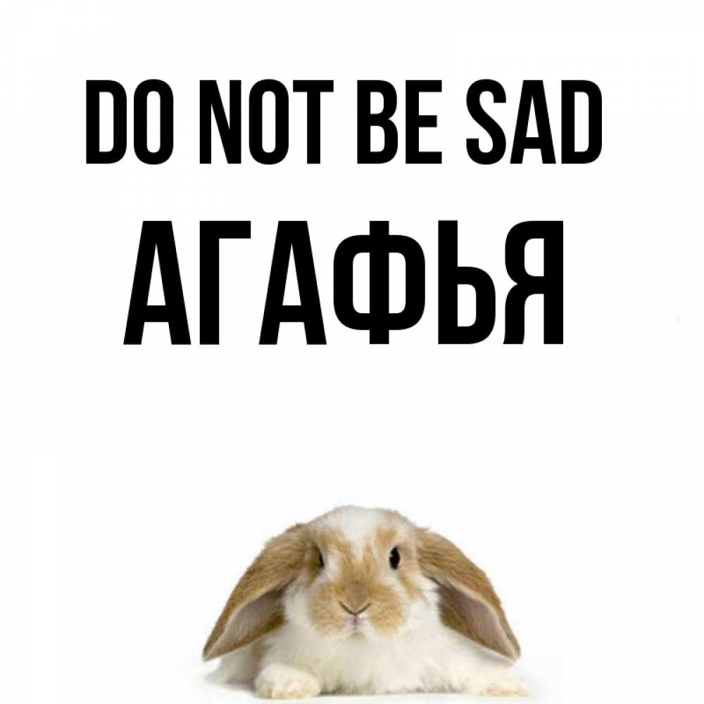 Greetings card с именем, Агафья Do not be sad коричнево белый заяц с большими ушками Greetings with text for free download 