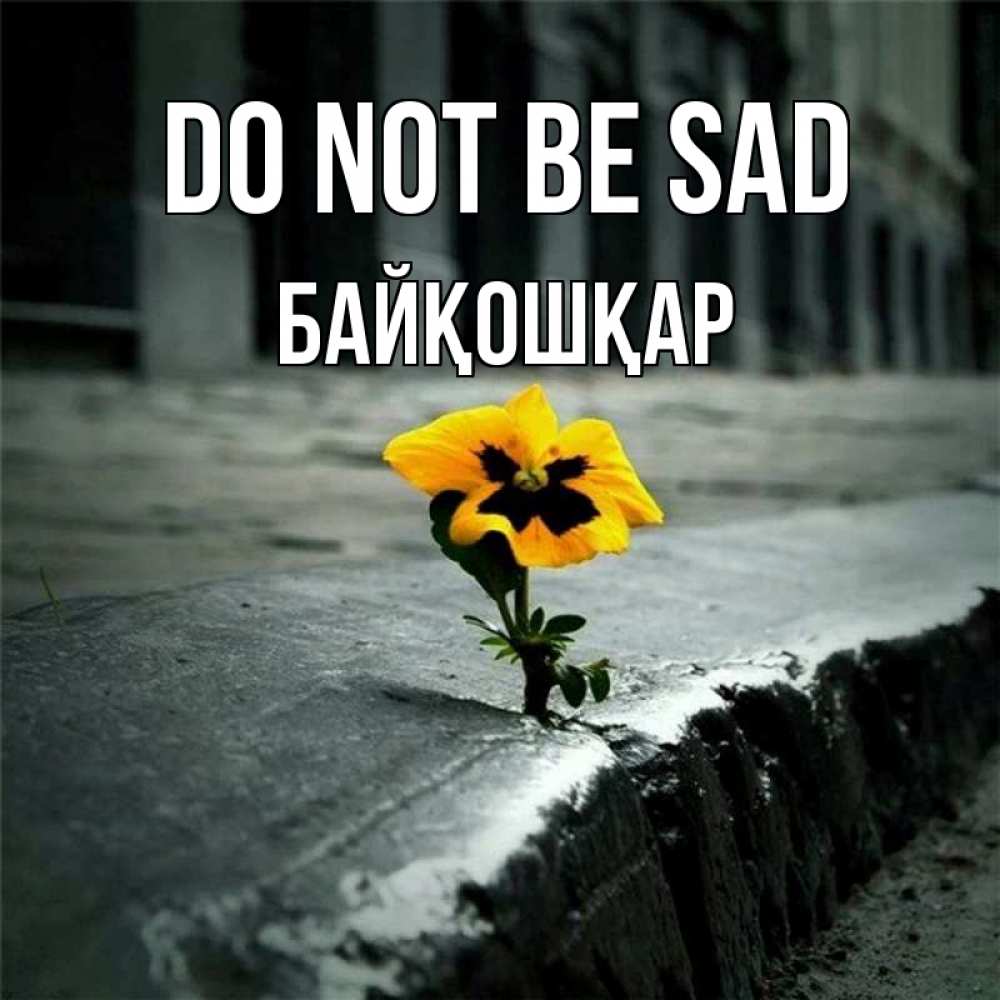 Greetings card с именем, Байқошқар Do not be sad не сдавайся Greetings with text for free download 