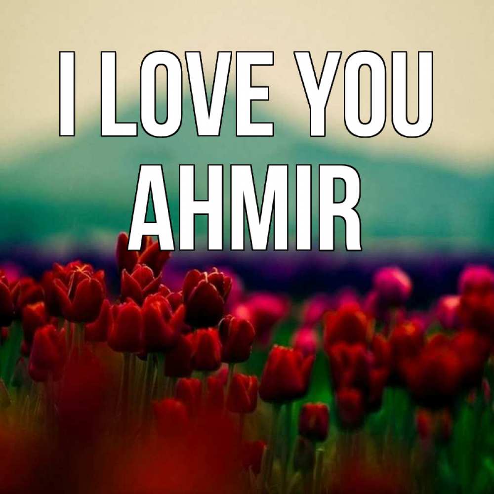Greetings card с именем, Ahmir I love you тюльпаны 4 Greetings with text for free download 