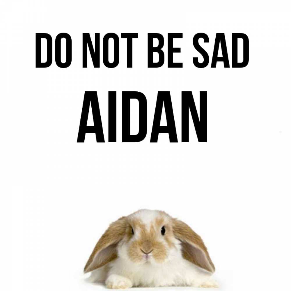 Greetings card с именем, Aidan Do not be sad коричнево белый заяц с большими ушками Greetings with text for free download 