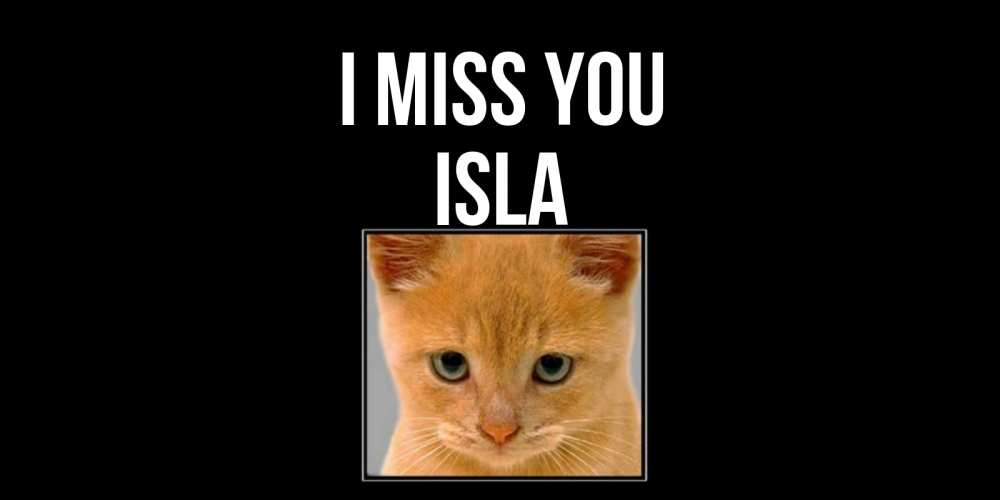 Greetings card с именем, Isla I miss you открытки рыжий котенок скучает по тебе Greetings with text for free download 
