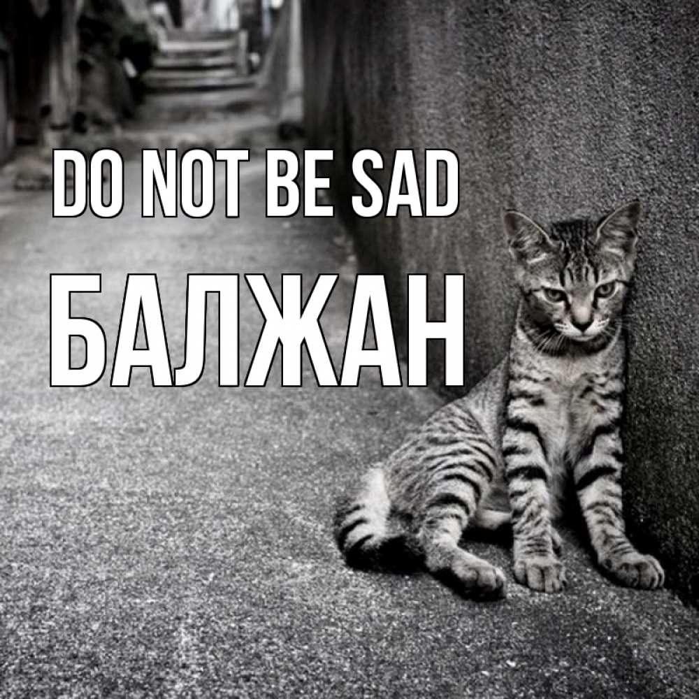 Greetings card с именем, БАЛЖАН Do not be sad скучающий котик Greetings with text for free download 