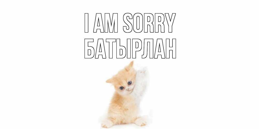Greetings card с именем, Батырлан I am sorry кот Greetings with text for free download 