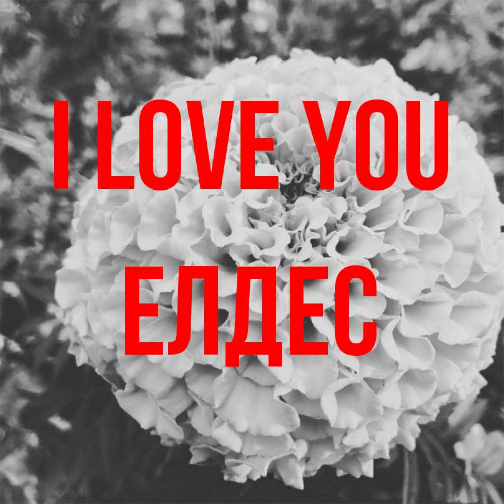 Greetings card с именем, Елдес I love you подпись Greetings with text for free download 