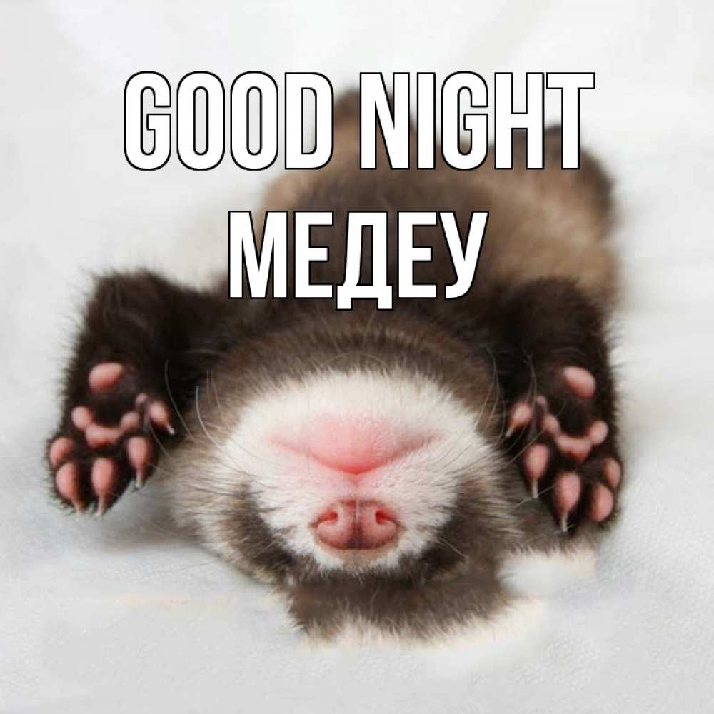 Greetings card с именем, МЕДЕУ Good night зверек Greetings with text for free download 