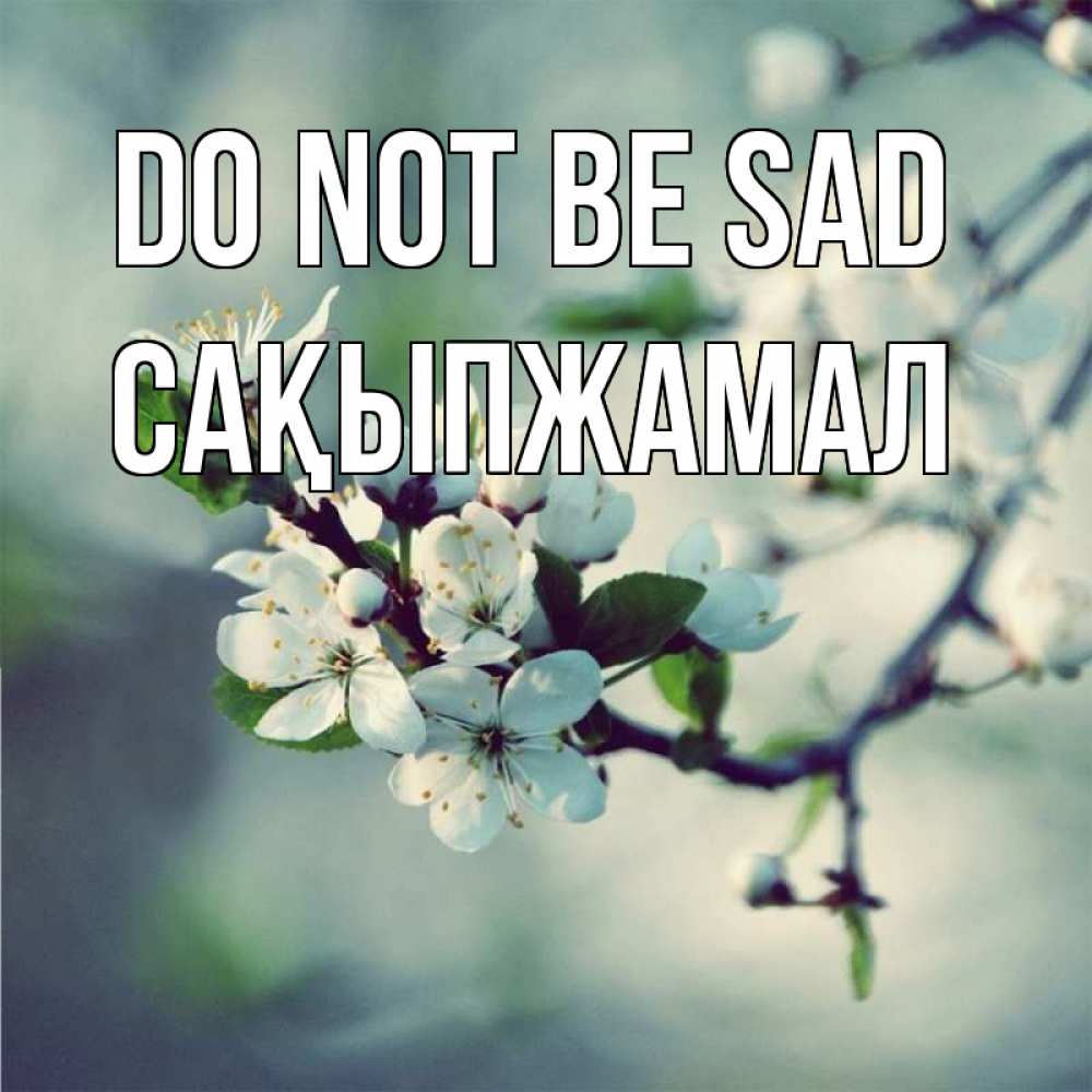 Greetings card с именем, САҚЫПЖАМАЛ Do not be sad яблоня в цвету 1 Greetings with text for free download 
