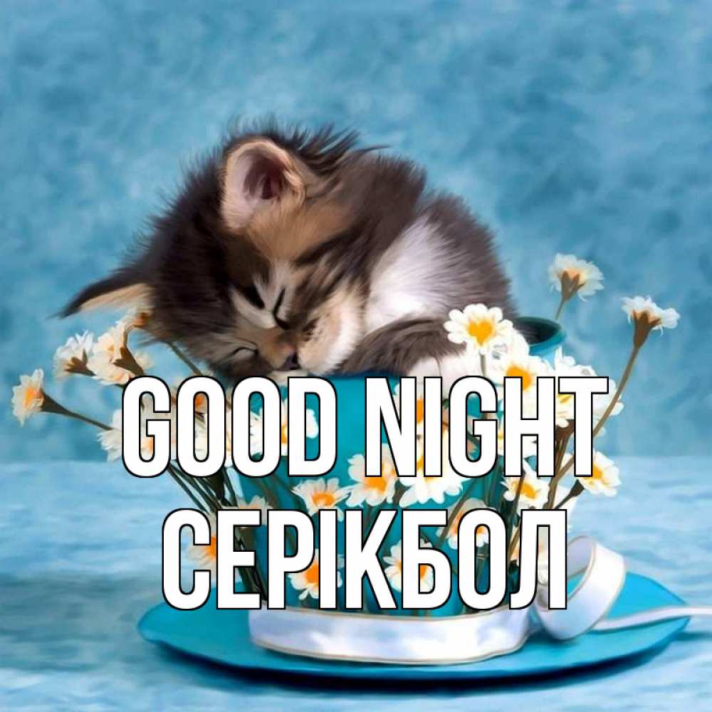 Greetings card с именем, СЕРІКБОЛ Good night котенок спит в кружке с блюдцем Greetings with text for free download 