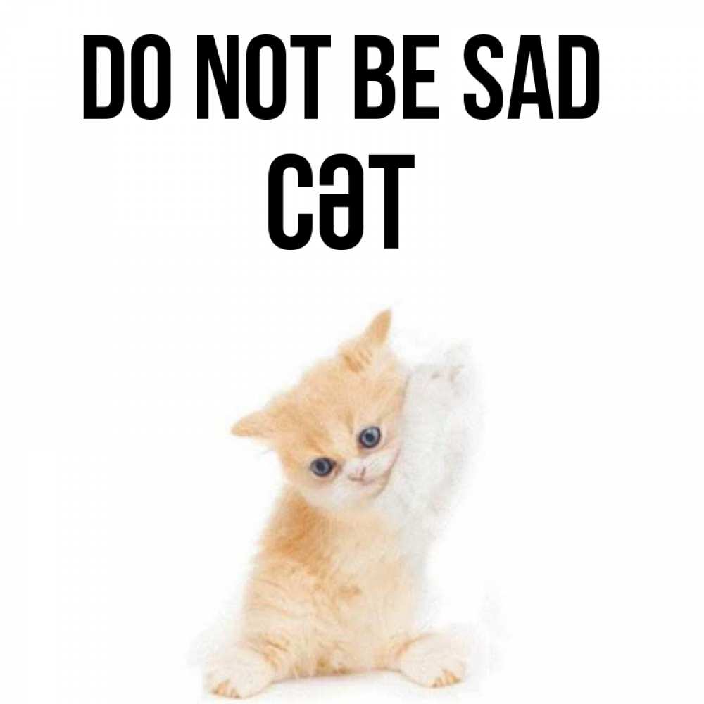 Greetings card с именем, СӘТ Do not be sad просящий кот Greetings with text for free download 