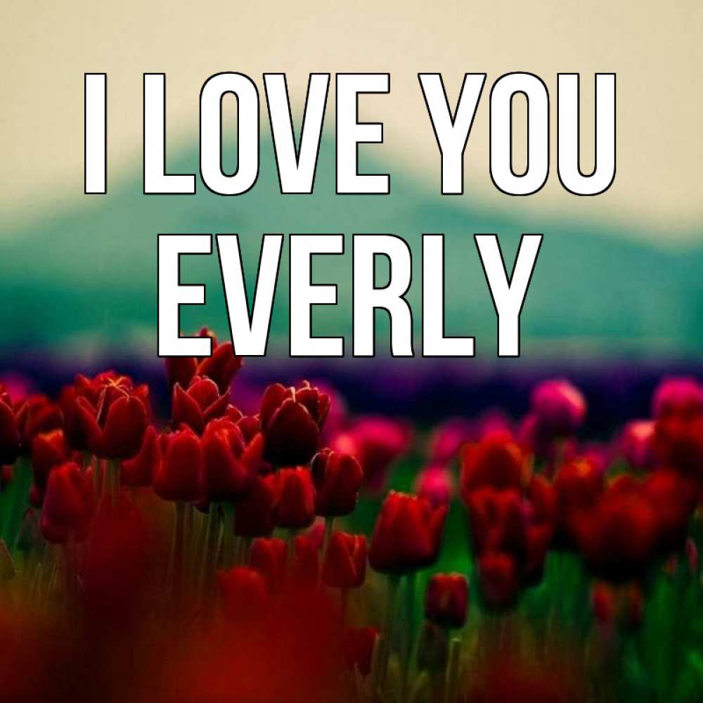 Greetings card с именем, Everly I love you тюльпаны 4 Greetings with text for free download 