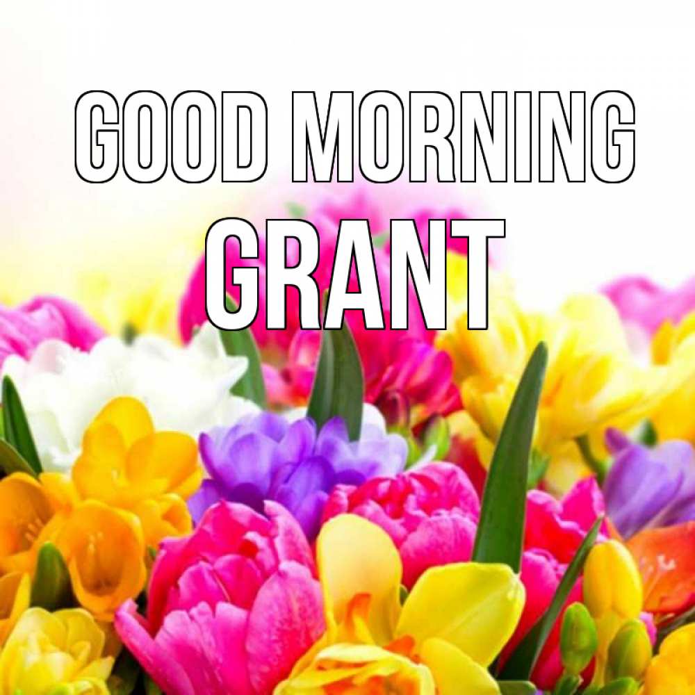 Greetings card с именем, Grant Good morning создать открытку со свое подписью Greetings with text for free download 